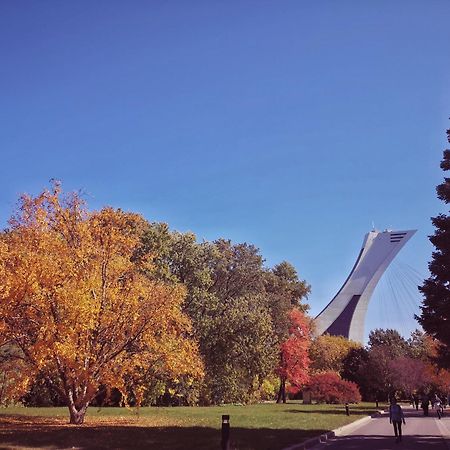 HoMa Homestay Hôtel by Olympic Stadium! Montréal Exterior foto